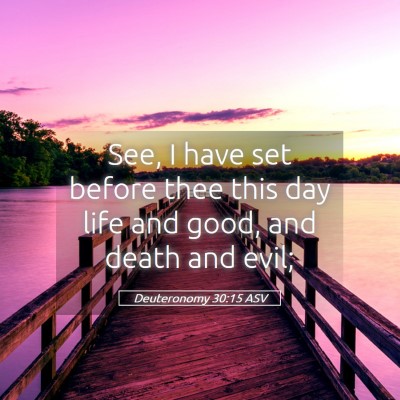Picture 05 - Deuteronomy 30:15 ASV - See, I have set before thee this day life and - Bible Verse Picture