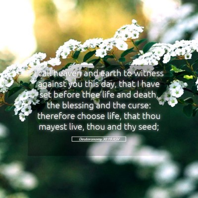 Picture 05 - Deuteronomy 30:19 ASV - I call heaven and earth to witness against you - Bible Verse Picture