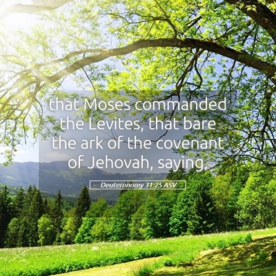 Picture 05 - Deuteronomy 31:25 ASV - that Moses commanded the Levites, that bare the - Bible Verse Picture