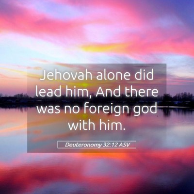 Picture 05 - Deuteronomy 32:12 ASV - Jehovah alone did lead him, And there was no - Bible Verse Picture