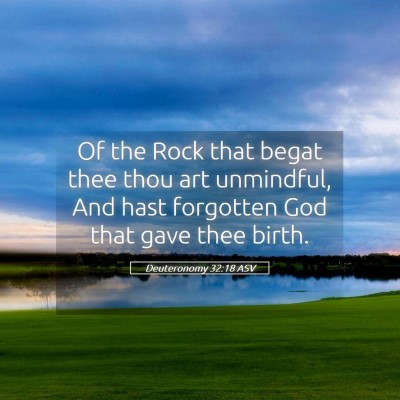 Picture 05 - Deuteronomy 32:18 ASV - Of the Rock that begat thee thou art unmindful, - Bible Verse Picture