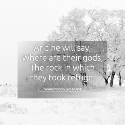 Picture 05 - Deuteronomy 32:37 ASV - And he will say, Where are their gods, The rock - Bible Verse Picture