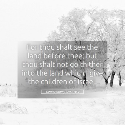 Picture 05 - Deuteronomy 32:52 ASV - For thou shalt see the land before thee; but thou - Bible Verse Picture