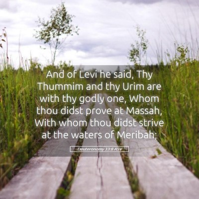 Picture 05 - Deuteronomy 33:8 ASV - And of Levi he said, Thy Thummim and thy Urim are - Bible Verse Picture