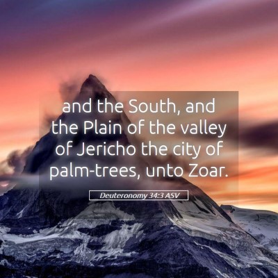 Picture 05 - Deuteronomy 34:3 ASV - and the South, and the Plain of the valley of - Bible Verse Picture