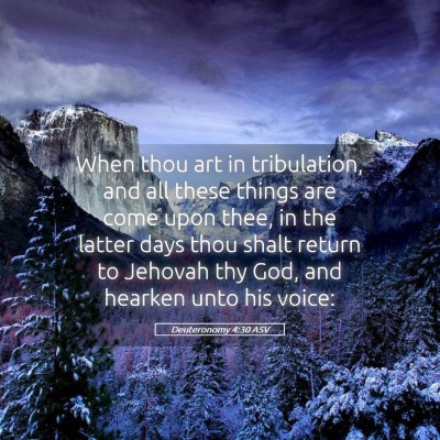 Picture 05 - Deuteronomy 4:30 ASV - When thou art in tribulation, and all these - Bible Verse Picture