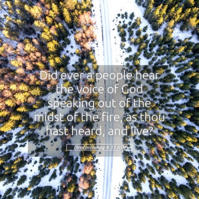 Picture 05 - Deuteronomy 4:33 ASV - Did ever a people hear the voice of God speaking - Bible Verse Picture