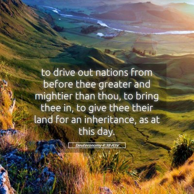 Picture 05 - Deuteronomy 4:38 ASV - to drive out nations from before thee greater and - Bible Verse Picture