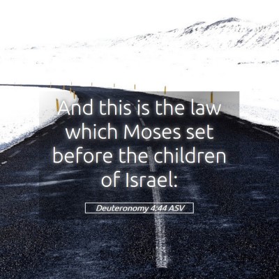 Picture 05 - Deuteronomy 4:44 ASV - And this is the law which Moses set before the - Bible Verse Picture