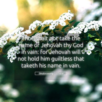 Picture 05 - Deuteronomy 5:11 ASV - Thou shalt not take the name of Jehovah thy God - Bible Verse Picture