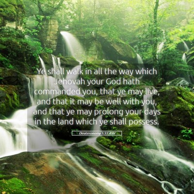 Picture 05 - Deuteronomy 5:33 ASV - Ye shall walk in all the way which Jehovah your - Bible Verse Picture