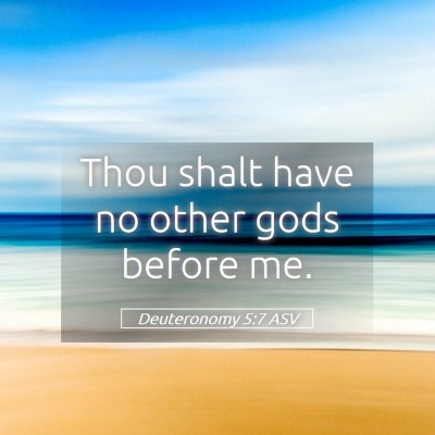 Picture 05 - Deuteronomy 5:7 ASV - Thou shalt have no other gods before - Bible Verse Picture