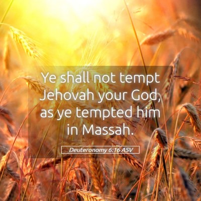 Picture 05 - Deuteronomy 6:16 ASV - Ye shall not tempt Jehovah your God, as ye - Bible Verse Picture