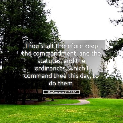 Picture 05 - Deuteronomy 7:11 ASV - Thou shalt therefore keep the commandment, and - Bible Verse Picture