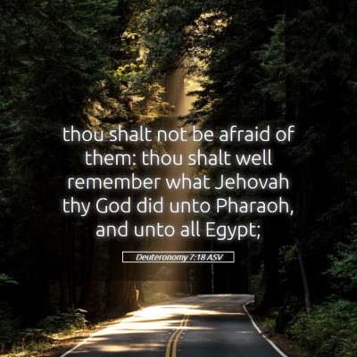 Picture 05 - Deuteronomy 7:18 ASV - thou shalt not be afraid of them: thou shalt well - Bible Verse Picture