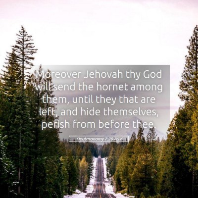Picture 05 - Deuteronomy 7:20 ASV - Moreover Jehovah thy God will send the hornet - Bible Verse Picture