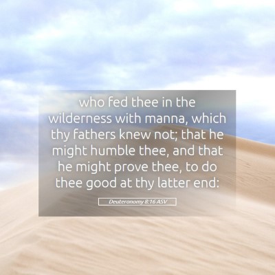 Picture 05 - Deuteronomy 8:16 ASV - who fed thee in the wilderness with manna, which - Bible Verse Picture