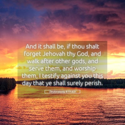 Picture 05 - Deuteronomy 8:19 ASV - And it shall be, if thou shalt forget Jehovah thy - Bible Verse Picture