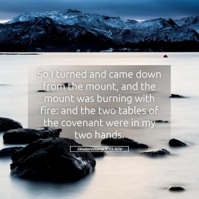 Picture 05 - Deuteronomy 9:15 ASV - So I turned and came down from the mount, and the - Bible Verse Picture