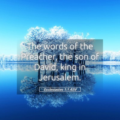 Picture 05 - Ecclesiastes 1:1 ASV - The words of the Preacher, the son of David, king - Bible Verse Picture