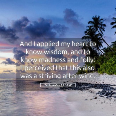 Picture 05 - Ecclesiastes 1:17 ASV - And I applied my heart to know wisdom, and to - Bible Verse Picture