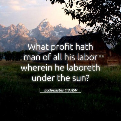 Picture 05 - Ecclesiastes 1:3 ASV - What profit hath man of all his labor wherein he - Bible Verse Picture