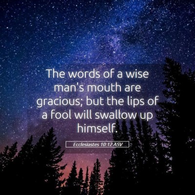 Picture 05 - Ecclesiastes 10:12 ASV - The words of a wise man's mouth are gracious; but - Bible Verse Picture