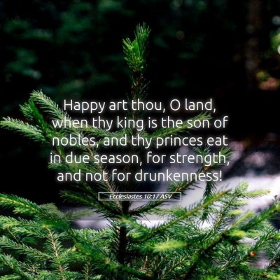 Picture 05 - Ecclesiastes 10:17 ASV - Happy art thou, O land, when thy king is the son - Bible Verse Picture