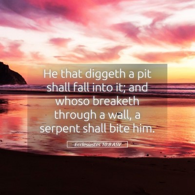 Picture 05 - Ecclesiastes 10:8 ASV - He that diggeth a pit shall fall into it; and - Bible Verse Picture
