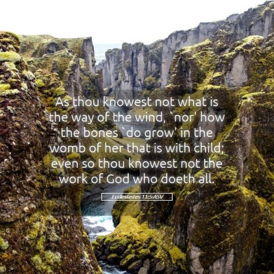 Picture 05 - Ecclesiastes 11:5 ASV - As thou knowest not what is the way of the wind, - Bible Verse Picture