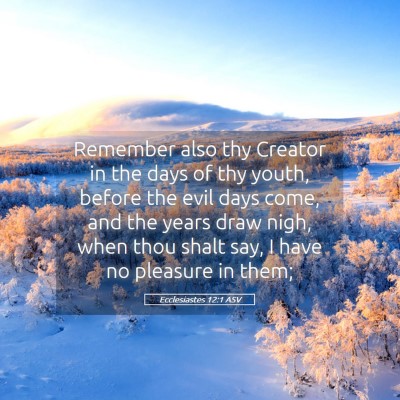 Picture 05 - Ecclesiastes 12:1 ASV - Remember also thy Creator in the days of thy - Bible Verse Picture