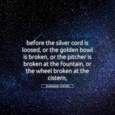 Picture 05 - Ecclesiastes 12:6 ASV - before the silver cord is loosed, or the golden - Bible Verse Picture