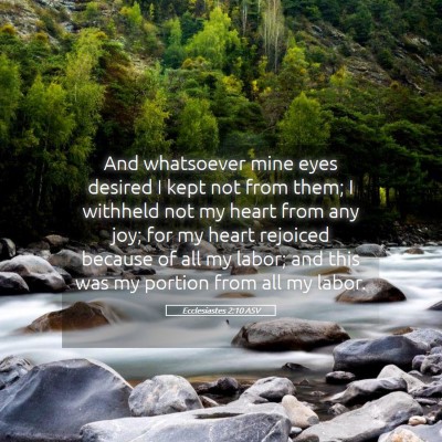 Picture 05 - Ecclesiastes 2:10 ASV - And whatsoever mine eyes desired I kept not from - Bible Verse Picture