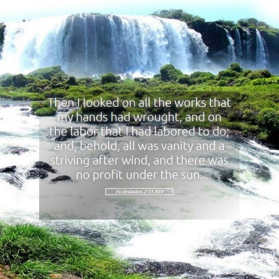 Picture 05 - Ecclesiastes 2:11 ASV - Then I looked on all the works that my hands had - Bible Verse Picture