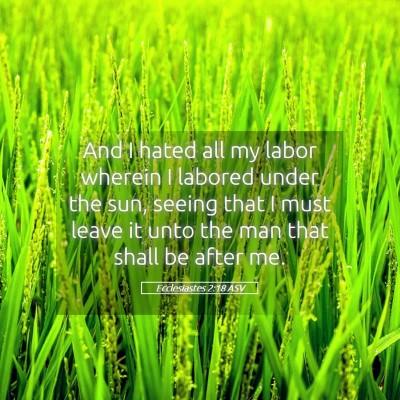 Picture 05 - Ecclesiastes 2:18 ASV - And I hated all my labor wherein I labored under - Bible Verse Picture