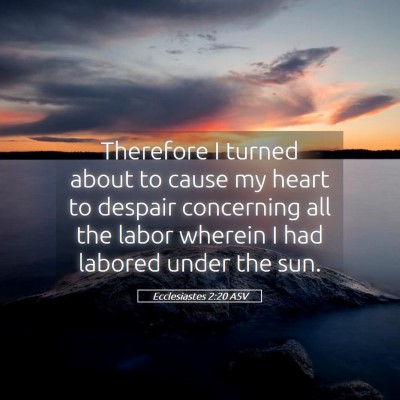 Picture 05 - Ecclesiastes 2:20 ASV - Therefore I turned about to cause my heart to - Bible Verse Picture