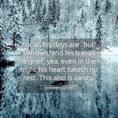 Picture 05 - Ecclesiastes 2:23 ASV - For all his days are `but' sorrows, and his - Bible Verse Picture