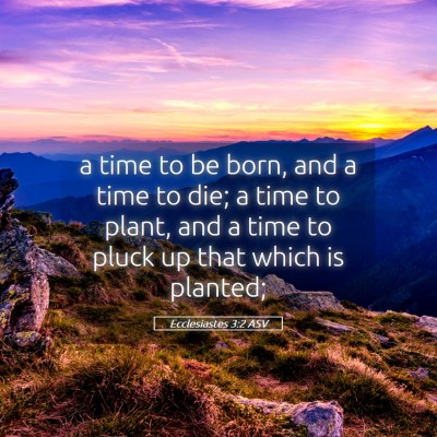 Picture 05 - Ecclesiastes 3:2 ASV - a time to be born, and a time to die; a time to - Bible Verse Picture