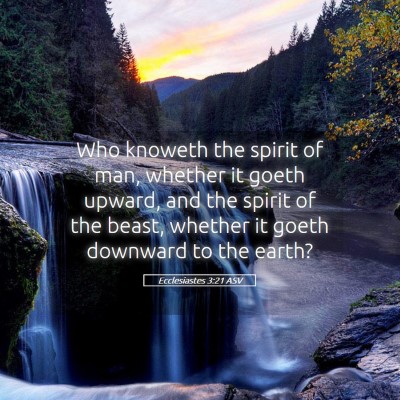 Picture 05 - Ecclesiastes 3:21 ASV - Who knoweth the spirit of man, whether it goeth - Bible Verse Picture