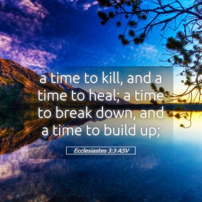 Picture 05 - Ecclesiastes 3:3 ASV - a time to kill, and a time to heal; a time to - Bible Verse Picture