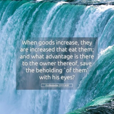 Picture 05 - Ecclesiastes 5:11 ASV - When goods increase, they are increased that eat - Bible Verse Picture