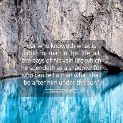 Picture 05 - Ecclesiastes 6:12 ASV - For who knoweth what is good for man in `his' - Bible Verse Picture