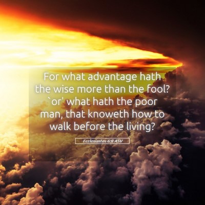 Picture 05 - Ecclesiastes 6:8 ASV - For what advantage hath the wise more than the - Bible Verse Picture