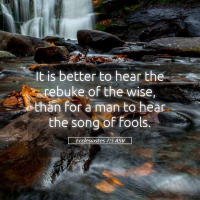 Picture 05 - Ecclesiastes 7:5 ASV - It is better to hear the rebuke of the wise, than - Bible Verse Picture