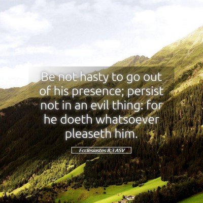 Picture 05 - Ecclesiastes 8:3 ASV - Be not hasty to go out of his presence; persist - Bible Verse Picture