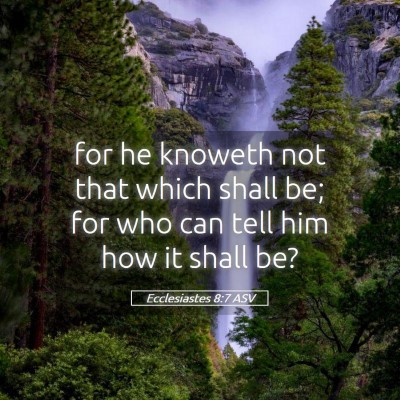 Picture 05 - Ecclesiastes 8:7 ASV - for he knoweth not that which shall be; for who - Bible Verse Picture
