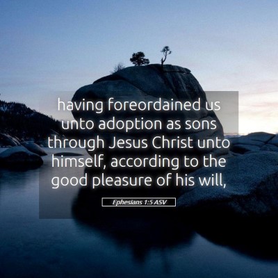 Picture 05 - Ephesians 1:5 ASV - having foreordained us unto adoption as sons - Bible Verse Picture