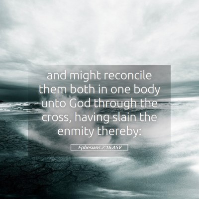 Picture 05 - Ephesians 2:16 ASV - and might reconcile them both in one body unto - Bible Verse Picture