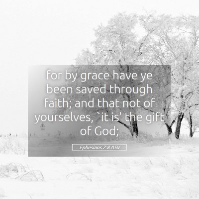 Picture 05 - Ephesians 2:8 ASV - for by grace have ye been saved through faith; - Bible Verse Picture