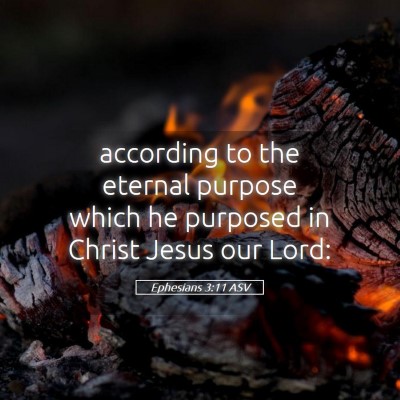 Picture 05 - Ephesians 3:11 ASV - according to the eternal purpose which he - Bible Verse Picture